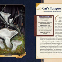 Little Book of Mushrooms by Alex Dorr-Earth Fairy Holistics