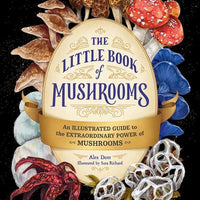 Little Book of Mushrooms by Alex Dorr-Earth Fairy Holistics