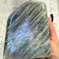 Labradorite Free Form (Purple Dominant Flash)
