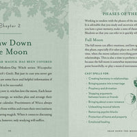 Witch's Way by Shawn Robbins-Earth Fairy Holistics