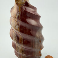 Petrified Wood Flames-Earth Fairy Holistics