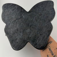 Astrophyllite Butterfly Plate