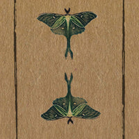 Conjure Cards: Fortune-Telling Card Deck and Guidebook-Earth Fairy Holistics