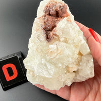 Apophyllite Mixed Specimens