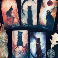 Haunted Cat Tarot - J Edward Neill-Earth Fairy Holistics