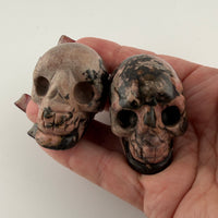 Skull Carvings-Earth Fairy Holistics