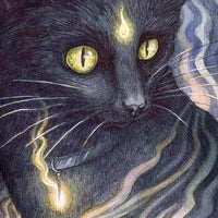 Soul Cats Tarot-Earth Fairy Holistics