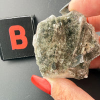 Garden Quartz/Lense Free Forms-Earth Fairy Holistics