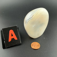 Dendritic Agate Free Form-Earth Fairy Holistics