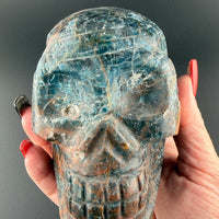 Blue Apatite Skull