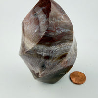 Petrified Wood Flames-Earth Fairy Holistics