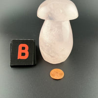 Rose Quartz Mushroom-Earth Fairy Holistics
