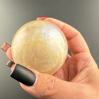 Blue Flash Moonstone Spheres-Earth Fairy Holistics