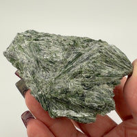 Actinolite Specimens