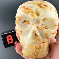 Calcite Skulls-Earth Fairy Holistics