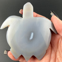 Agate Sea Turtles-Earth Fairy Holistics