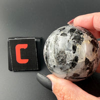 Black Tourmaline in Quartz Sphere-Earth Fairy Holistics