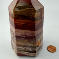 Petrified Wood Towers-Earth Fairy Holistics