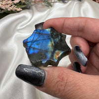 Labradorite Spider Carving-Earth Fairy Holistics