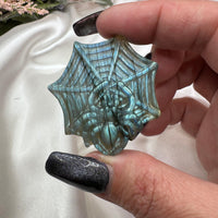 Labradorite Spider Carving-Earth Fairy Holistics