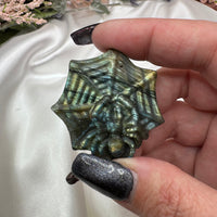 Labradorite Spider Carving-Earth Fairy Holistics
