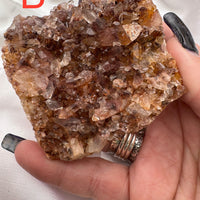 Phantom Quartz Clusters (Large)-Earth Fairy Holistics