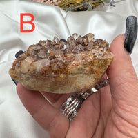 Phantom Quartz Clusters (Large)-Earth Fairy Holistics