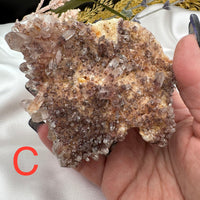 Phantom Quartz Clusters (Large)-Earth Fairy Holistics