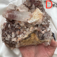 Phantom Quartz Clusters (Large)-Earth Fairy Holistics