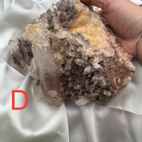 Phantom Quartz Clusters (Large)-Earth Fairy Holistics