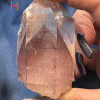 Phantom Quartz Rough Points (Large)-Earth Fairy Holistics
