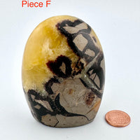 Septarian Free Form-Earth Fairy Holistics