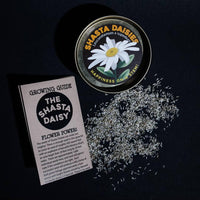 Shasta Daisy | Flower Seed Grow Kit-Earth Fairy Holistics