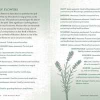 Witch's Way by Shawn Robbins-Earth Fairy Holistics