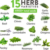 15 Culinary Herb Seed Vault - Heirloom and Non GMO-Earth Fairy Holistics