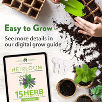 15 Culinary Herb Seed Vault - Heirloom and Non GMO-Earth Fairy Holistics