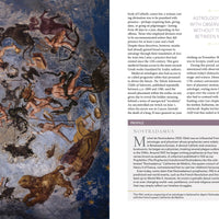 NG Book of Magic-Earth Fairy Holistics