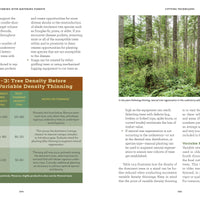 A Forest of Your Own-Earth Fairy Holistics