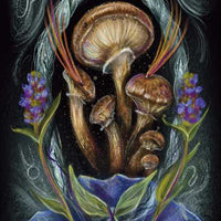 Midnight Magic by Sara Richard-Earth Fairy Holistics