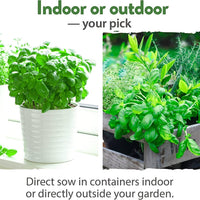 15 Culinary Herb Seed Vault - Heirloom and Non GMO-Earth Fairy Holistics