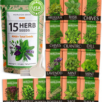 15 Culinary Herb Seed Vault - Heirloom and Non GMO-Earth Fairy Holistics