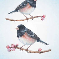Spiritual Meaning of Birds Oracle Deck by Arin Murphy-Hiscock-Earth Fairy Holistics