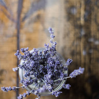 Lavender | Flower Seed Grow Kit-Earth Fairy Holistics