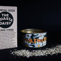 Shasta Daisy | Flower Seed Grow Kit-Earth Fairy Holistics
