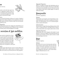 Modern Witchcraft Guide to Magickal Herbs by Judy Ann Nock-Earth Fairy Holistics