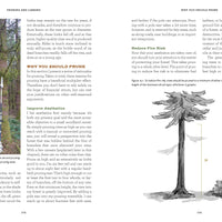 A Forest of Your Own-Earth Fairy Holistics