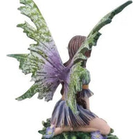 Wild Violet Fairy-Earth Fairy Holistics