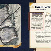 Little Book of Mushrooms by Alex Dorr-Earth Fairy Holistics