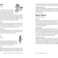 Modern Witchcraft Guide to Magickal Herbs by Judy Ann Nock-Earth Fairy Holistics