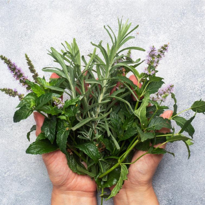 Herbs From Earth Fairy Holistics